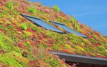 Kibworth Beauchamp living roof systems